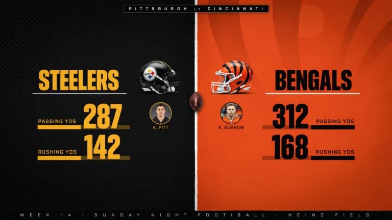 Pittsburgh Steelers vs Bengals Match Player Stats