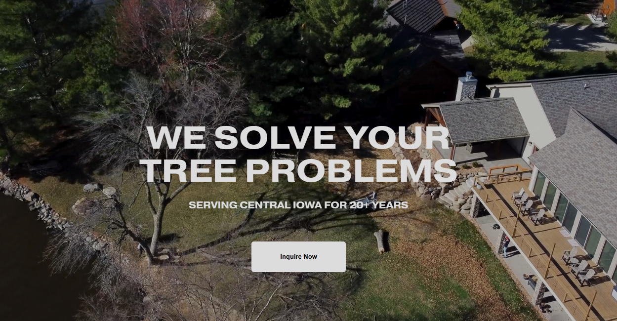 Everything You Should Know About Tree Removal