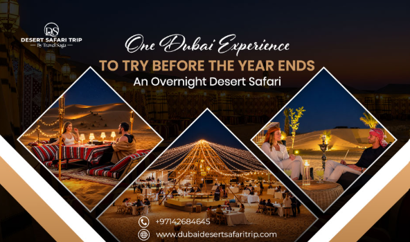 One Dubai Experience to Try Before the Year Ends: An Overnight Desert Safari