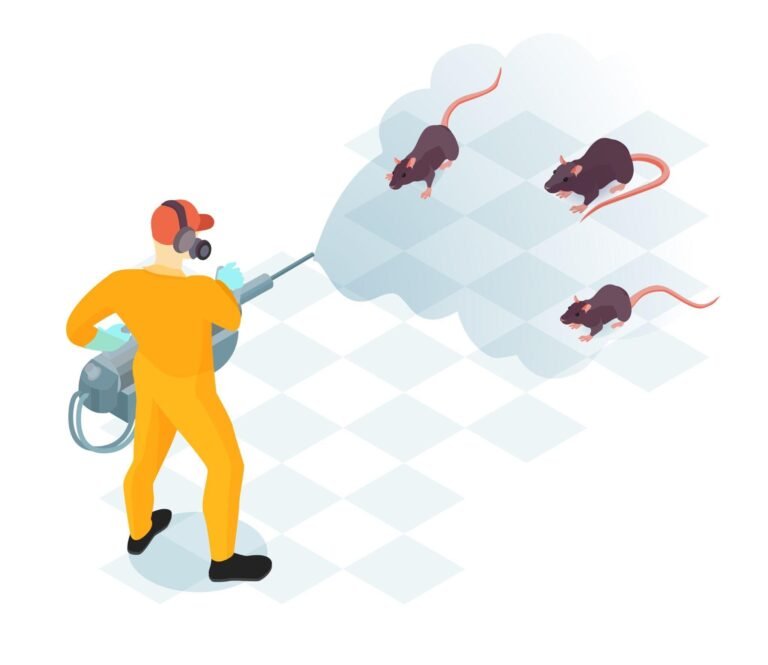 From Inspection to Exclusion: Understanding Professional Rodent Control